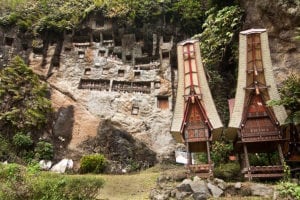 Toraja Tour visiting Lemo Cliff Stone Grave