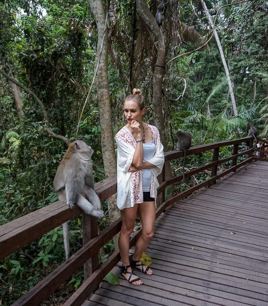 Bali Tour Monkey Forest