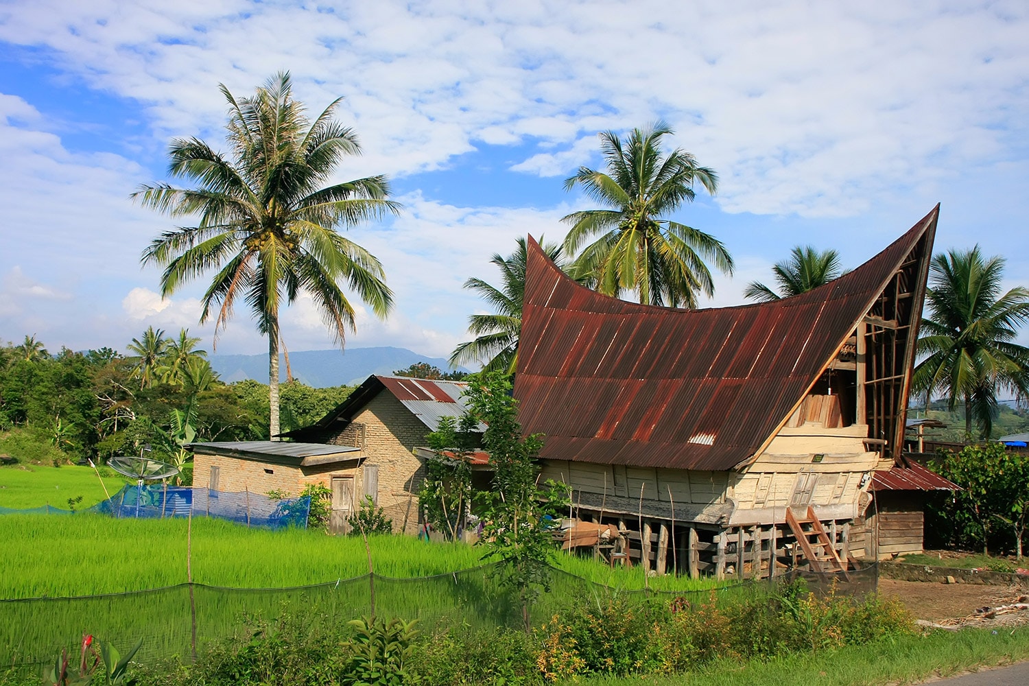Single Batak House Landscape