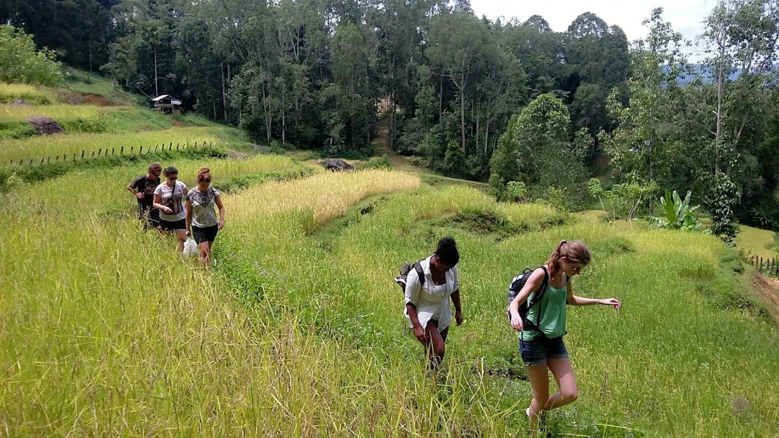 Toraja Trekking Tour - IndoGlobal Adventure